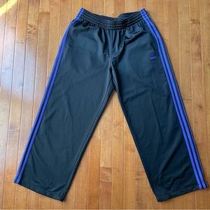 Adidas Womens  Essentials Black and Purple 3 Stripe Jogger track Pants‎